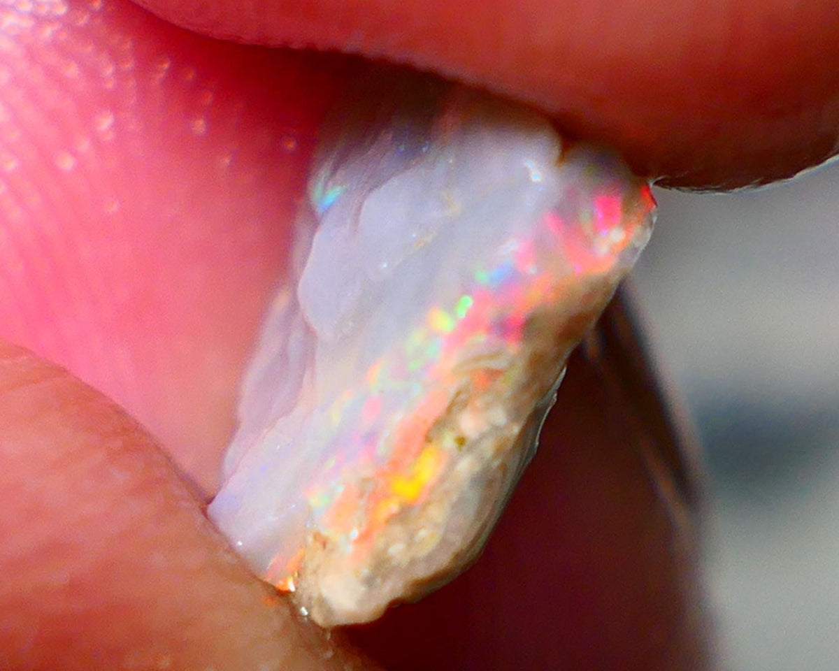 Lightning Ridge Rough Opal 2.25cts Dark Crystal Knobby formation showing Orange/Red/Yellow 11x10x4mm NS162