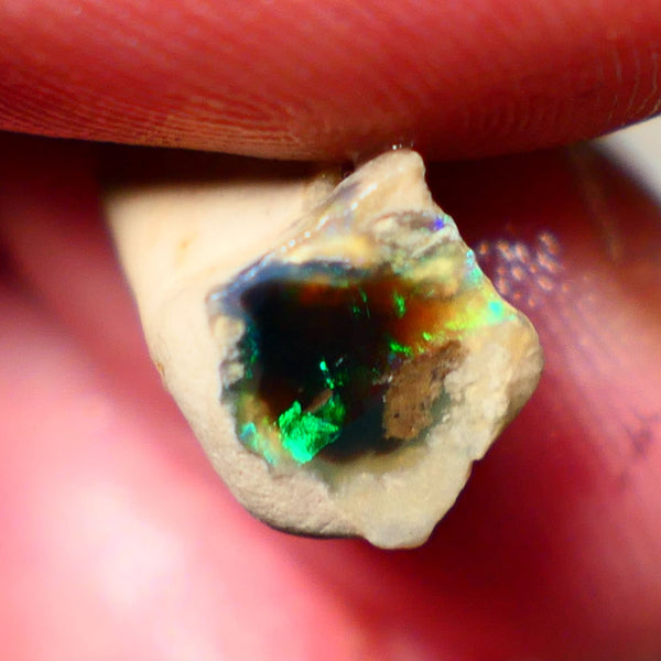 "Claws/Slashes/Feather/Bamboo" Exotic pattern Black Crystal Opal Miners Bench® Small Knobby Rough Rub 4.00cts Slightly Directional Yellow/Green/Teal/Blue 15x8x8mm NS165