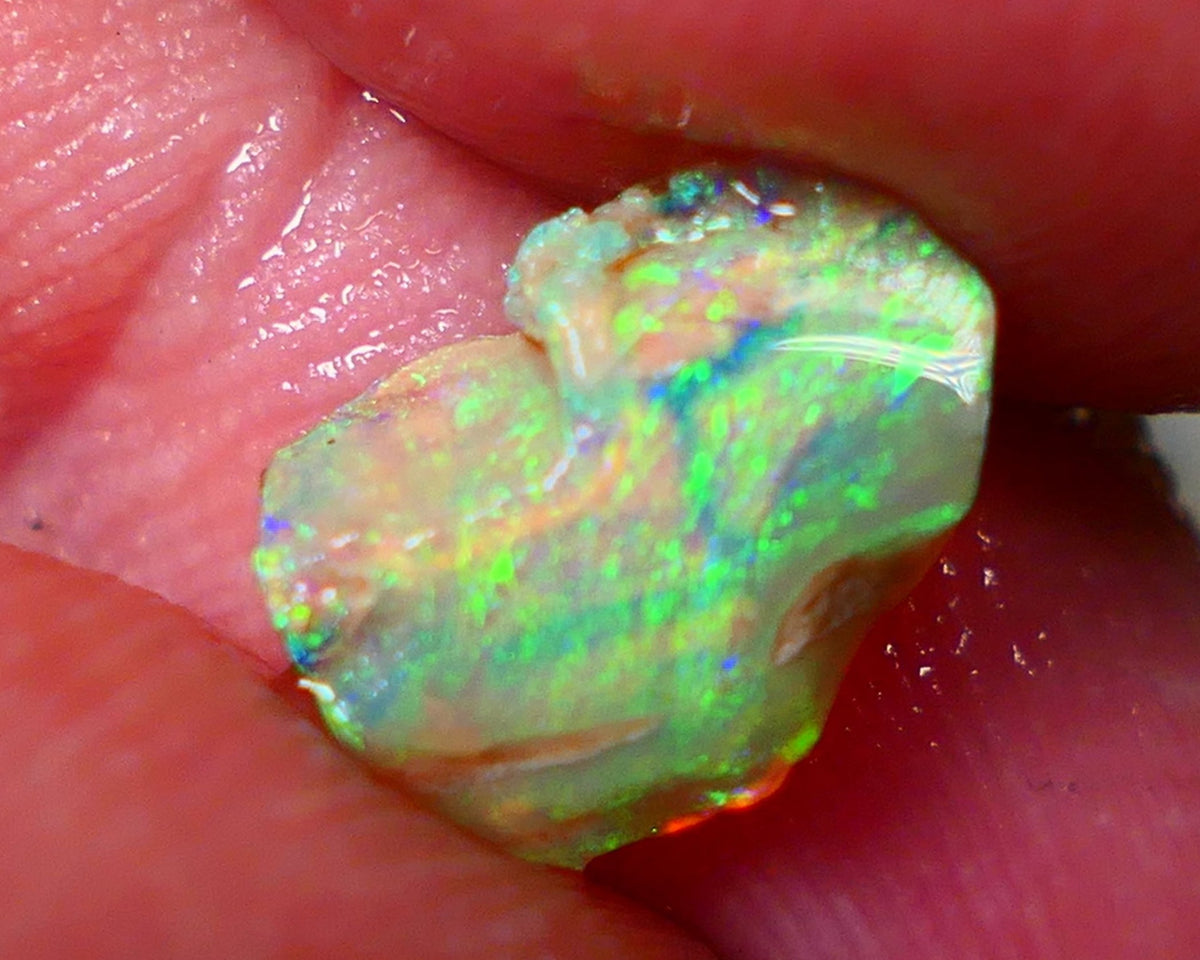 Opalised fossil Stunning Multi colour 1.30cts Rub rough Lightning Ridge 10x8x3mm NSW025