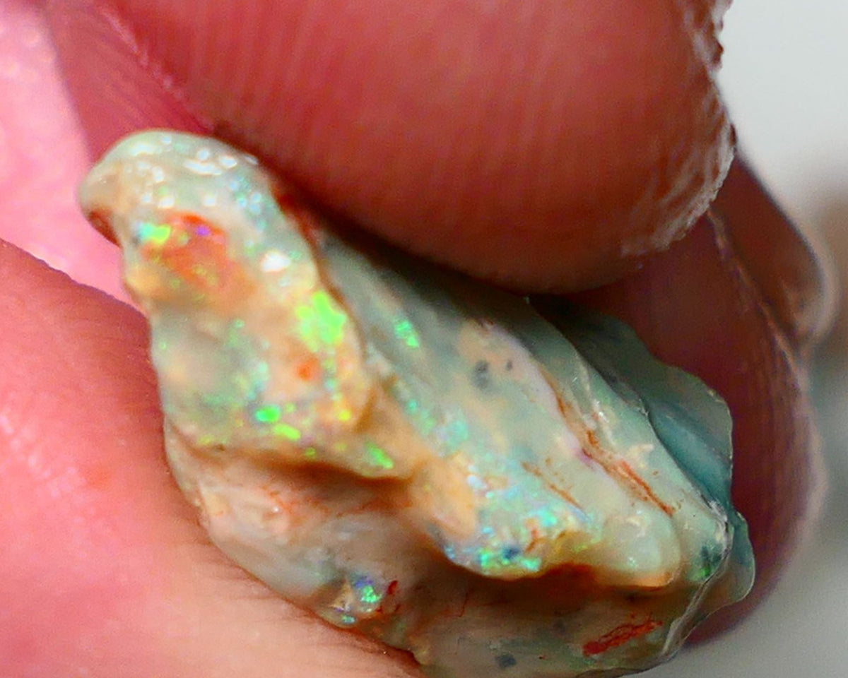 Lightning Ridge Rough Fossil opal 7.00cts Yellow orange dominant Fires 20x11x9mm NS147