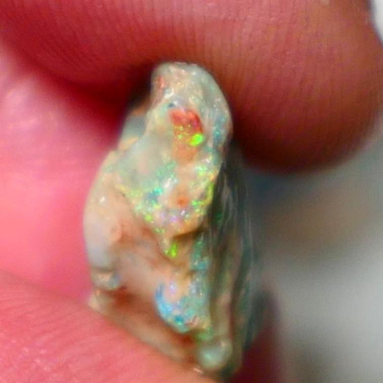 Lightning Ridge Rough Fossil opal 7.00cts Yellow orange dominant Fires 20x11x9mm NS147