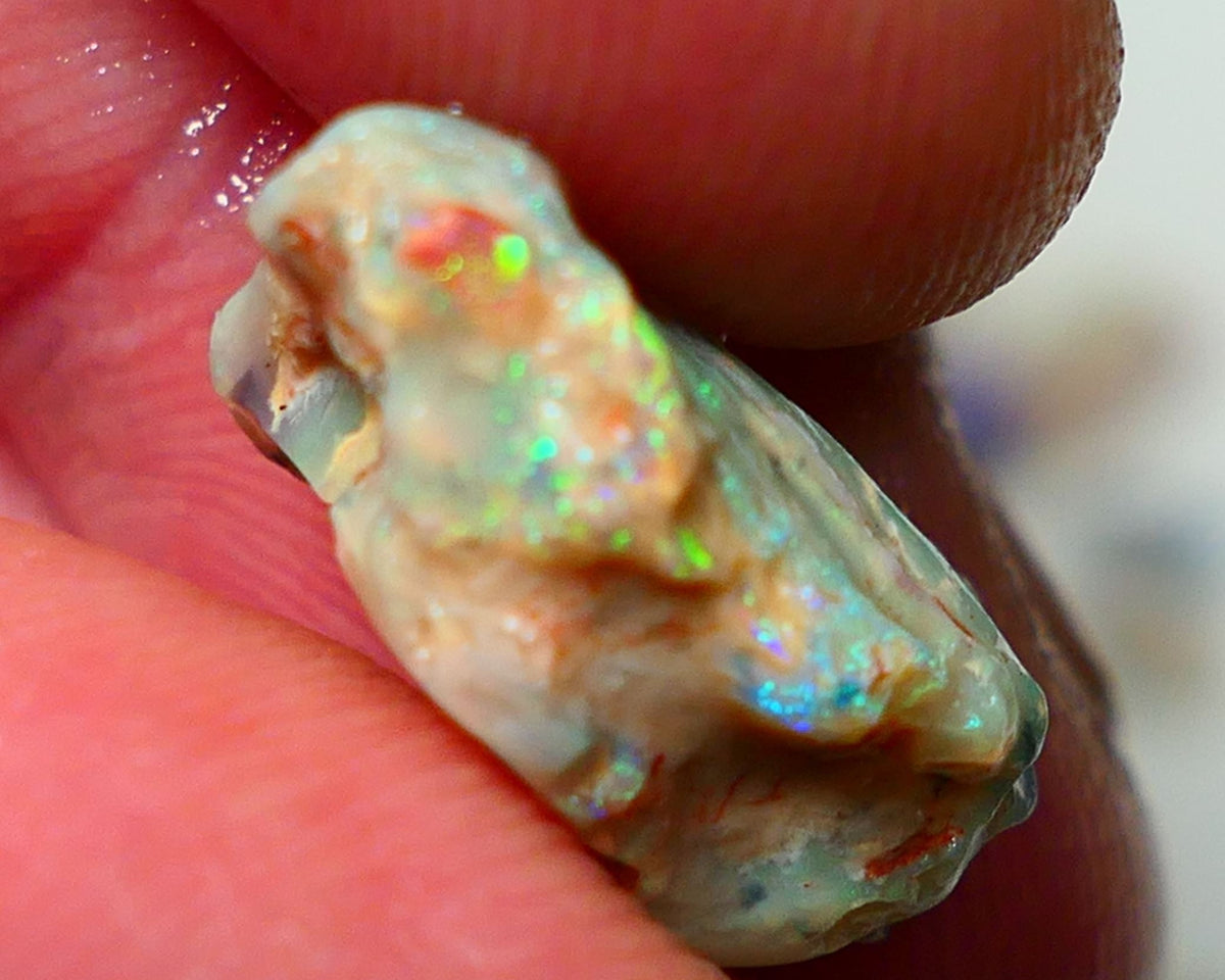 Lightning Ridge Rough Fossil opal 7.00cts Yellow orange dominant Fires 20x11x9mm NS147