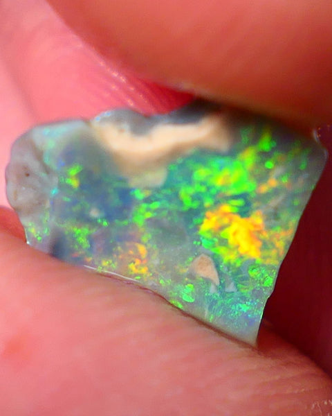 Lightning Ridge Opal Rough/Rub Dark Base From the Miners Bench® 1.55cts Bright & gorgeous Yellow/Orange/Green dominant m.fires 11x11x2mm NS154