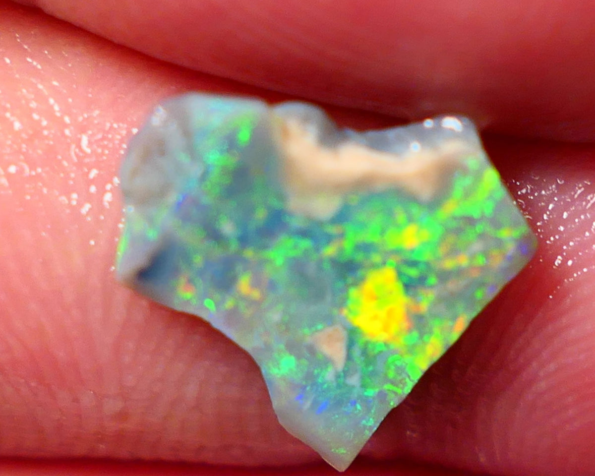 Lightning Ridge Opal Rough/Rub Dark Base From the Miners Bench® 1.55cts Bright & gorgeous Yellow/Orange/Green dominant m.fires 11x11x2mm NS154