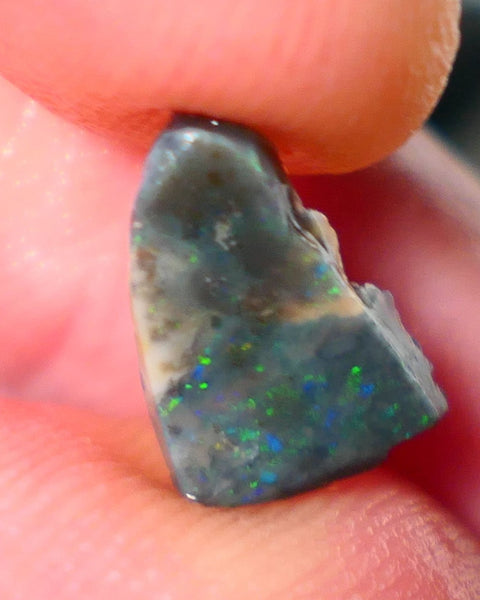 Lightning Ridge Rough / Rub Seam opal Miners Bench® 1.60cts Multicolour Flashes of Confetti  12x8x2mm AUCTION NS166