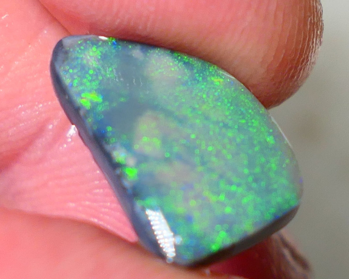 Lightning Ridge Opal Big Picture stone Rough/Rub Dark Base From the Miners Bench® 4.50cts Lovely Yellow/Green dominant multifires 16x10x3mm NS195