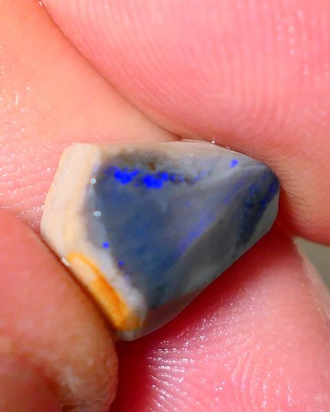 Lightning Ridge Rough Rub Directional Picture stone Opal 4.50cts Dark Base Seam Blue Fires exposed to face 13x10x5mm NS191