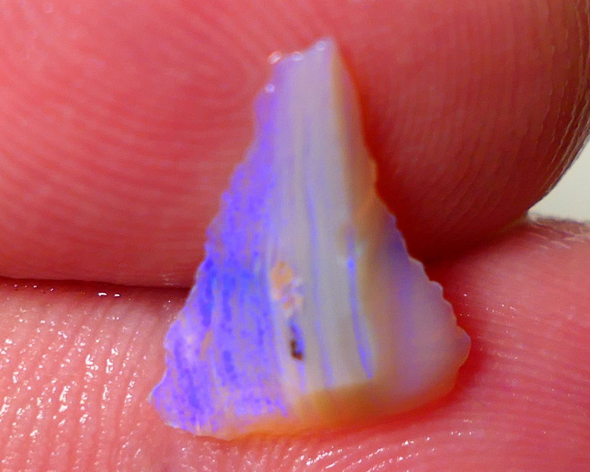 Lightning Ridge Rough Opal 1.30cts Crystal Base Seam slice Bright Gorgeous Blues 14x10x2.5mm NS188