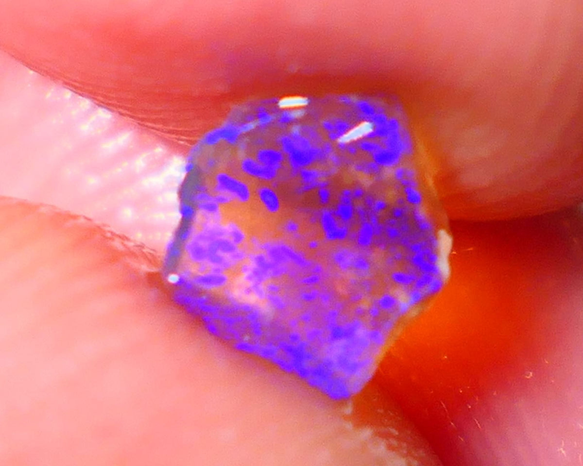 Lightning Ridge Opal Dark Crystal Base Seam Rough Rub 0.55cts Clean Gem Bright Blue fires 7x6x1.5mm NS186