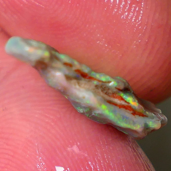 Mulga Rough Opal 5.00cts Dark Base Seam Nice Yellow/Orange Dominant M.fires to Cut / carve & polish 18x14x3mm NSW031