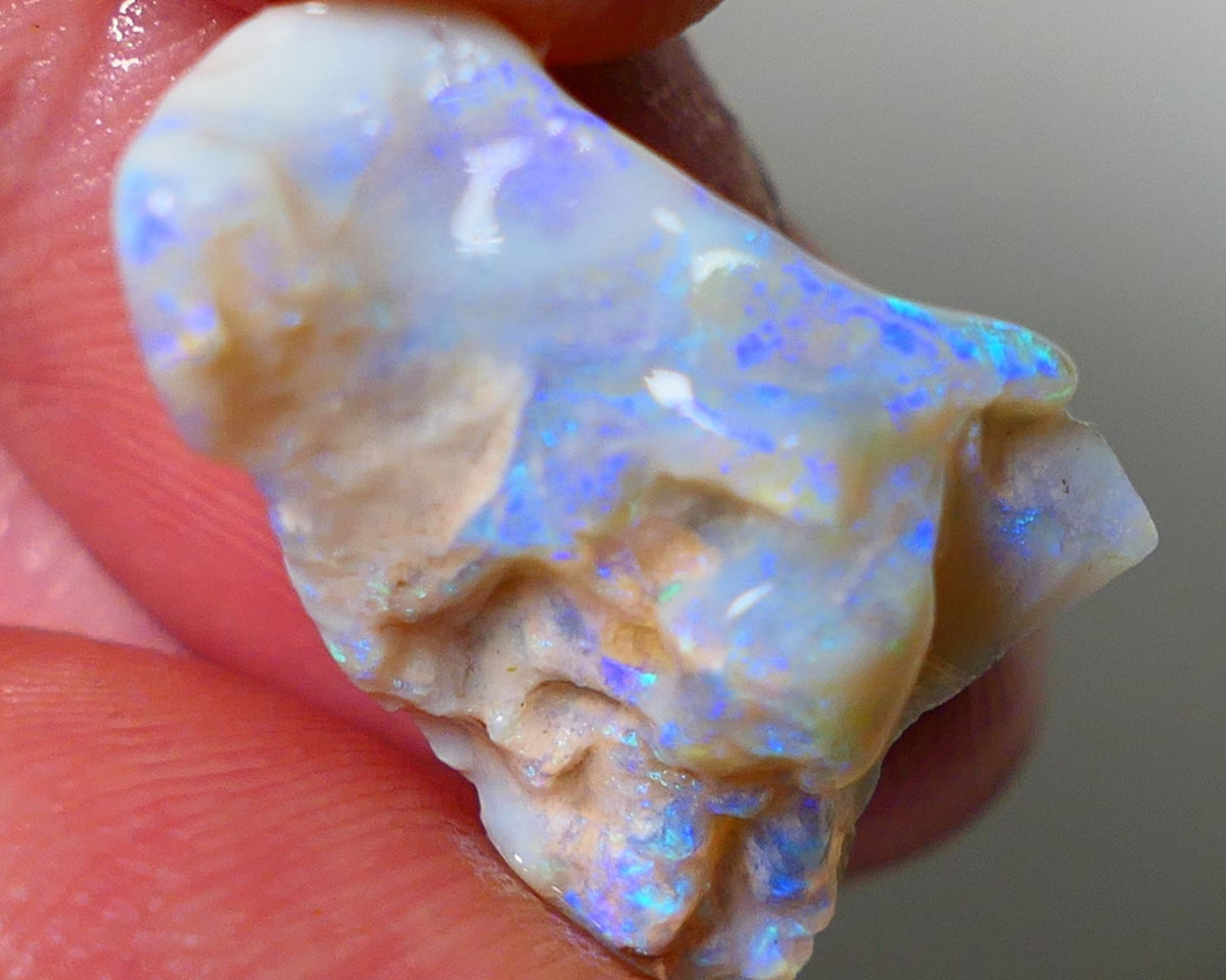 Lightning Ridge Rough Opal 11.25cts Light base Seam showing lots Nice blue colours 21x14x9mm NS180