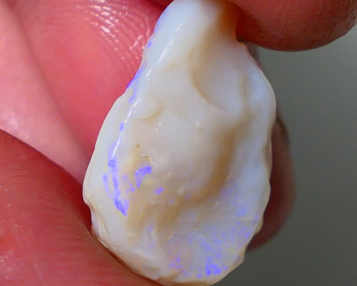 Lightning Ridge Rough Opal 8.00cts Light base Seam showing Nice blue colours 21x14x5mm NS179