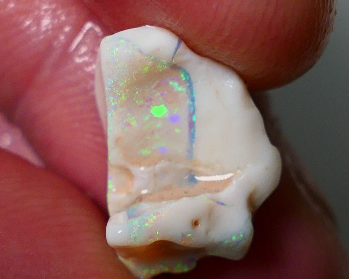 Lightning Ridge Rough Opal 5.75cts Light/Grey Base Seam Nice bar to cut with Bright Green Dominant  Multi colour fires 17x11x9mm NS177