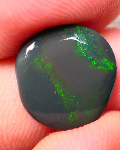 Lightning Ridge Rough / Rub Seam opal Miners Bench® 3.80cts Greens on Black 14x13x2.5mm NS203