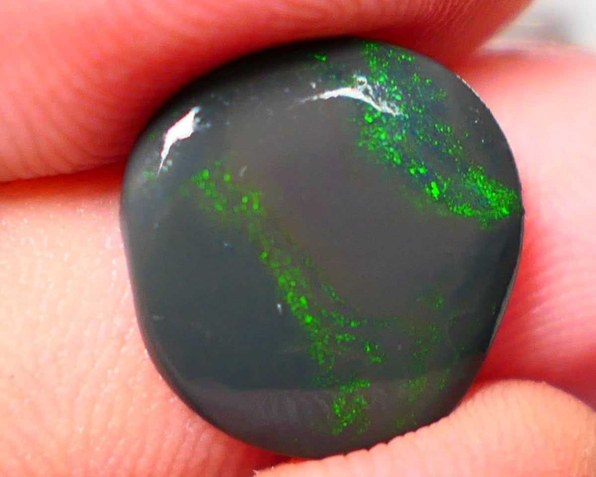 Lightning Ridge Rough / Rub Seam opal Miners Bench® 3.80cts Greens on Black 14x13x2.5mm NS203