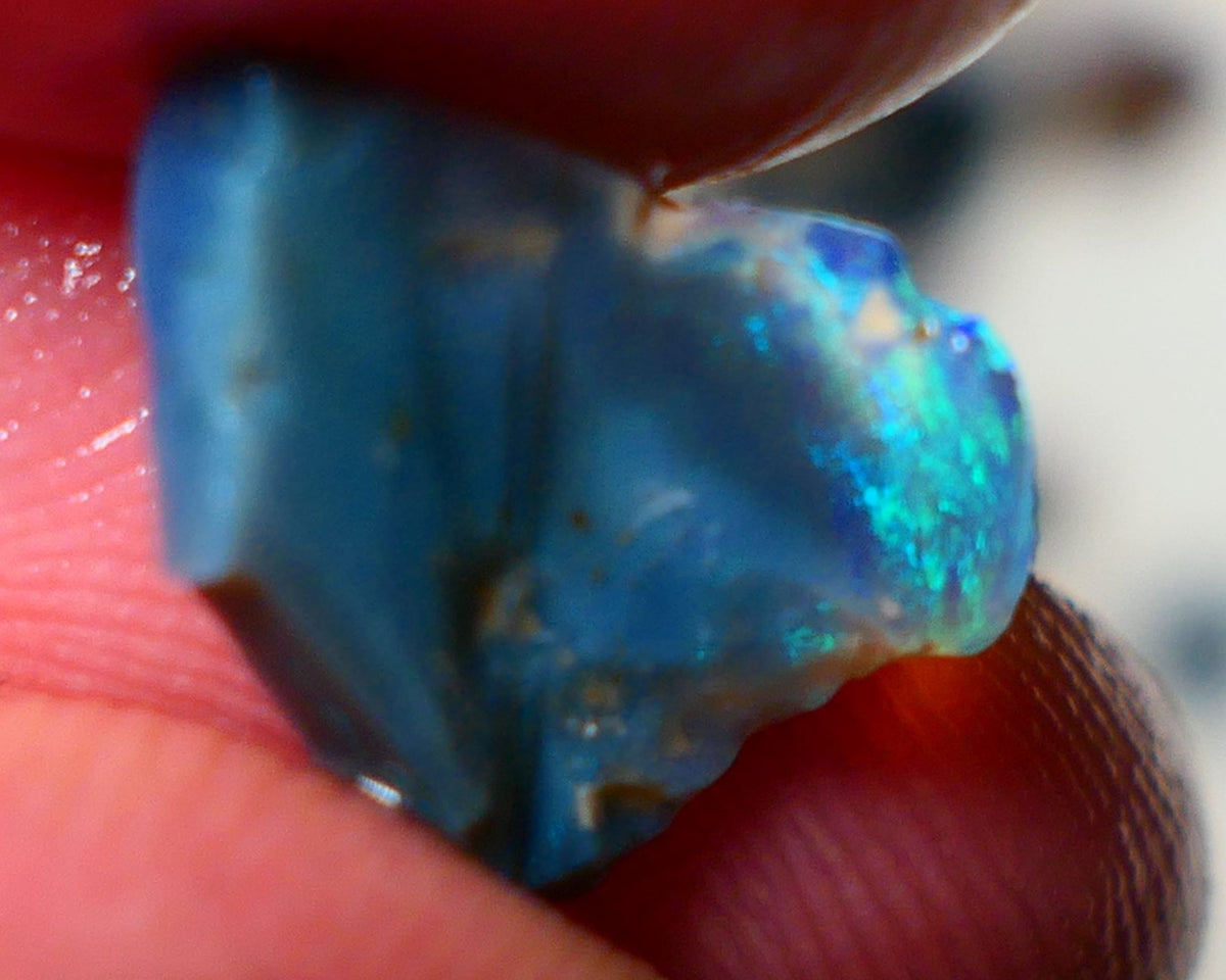 Mulga Rough Opal Gamble 2.20cts Dark Base Seam Green Dominant fires to Cut / carve & polish 14x11x4mm NS202