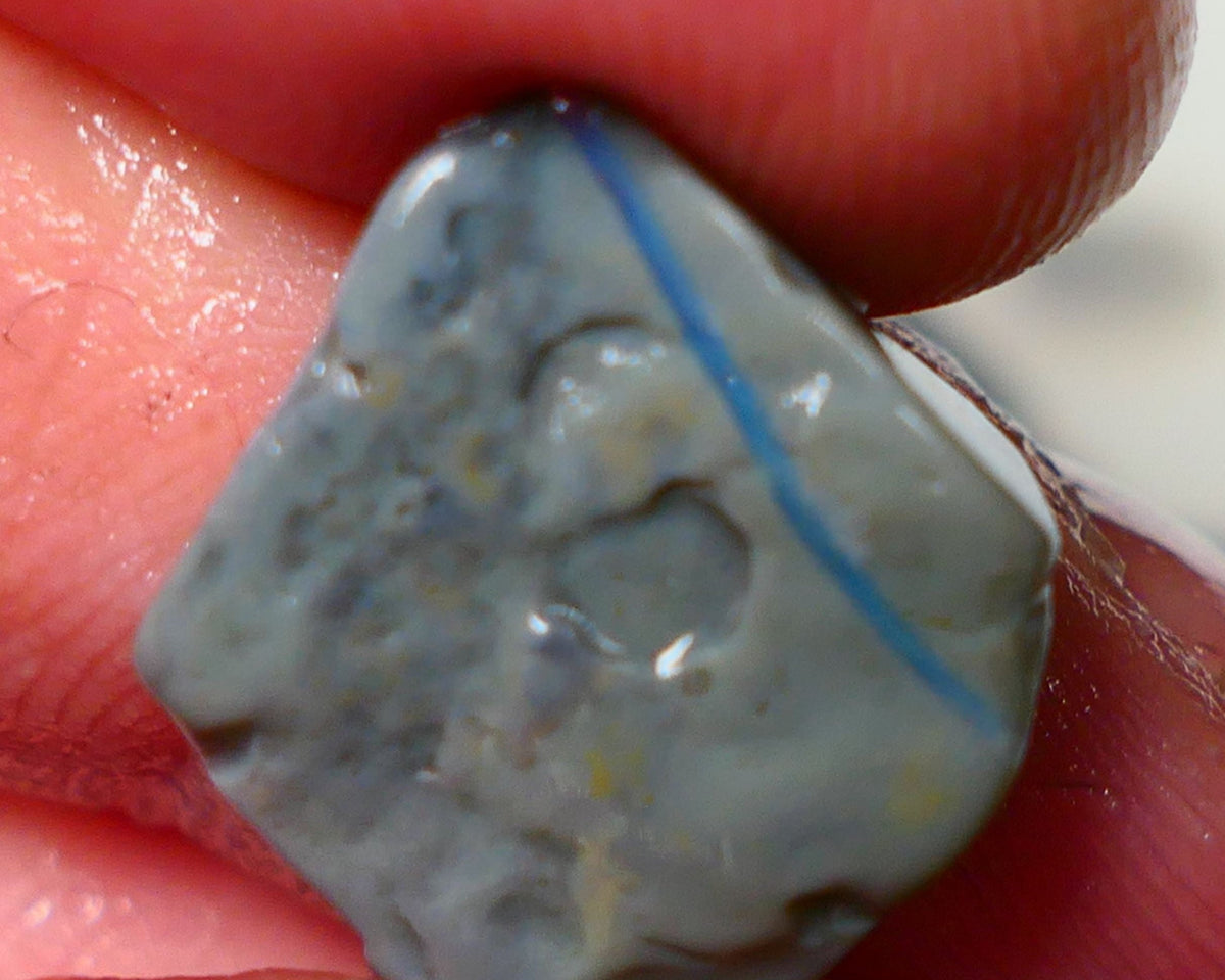 Lightning Ridge Rough Opal 5cts Dark Base Gamble Seam Blues in the vertical bar / vein  14x13x4mm NS201