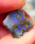 Lightning Ridge Rough Dark Opalised wood fossil  8cts Gorgeous blues showing 17x12x6mm RL001