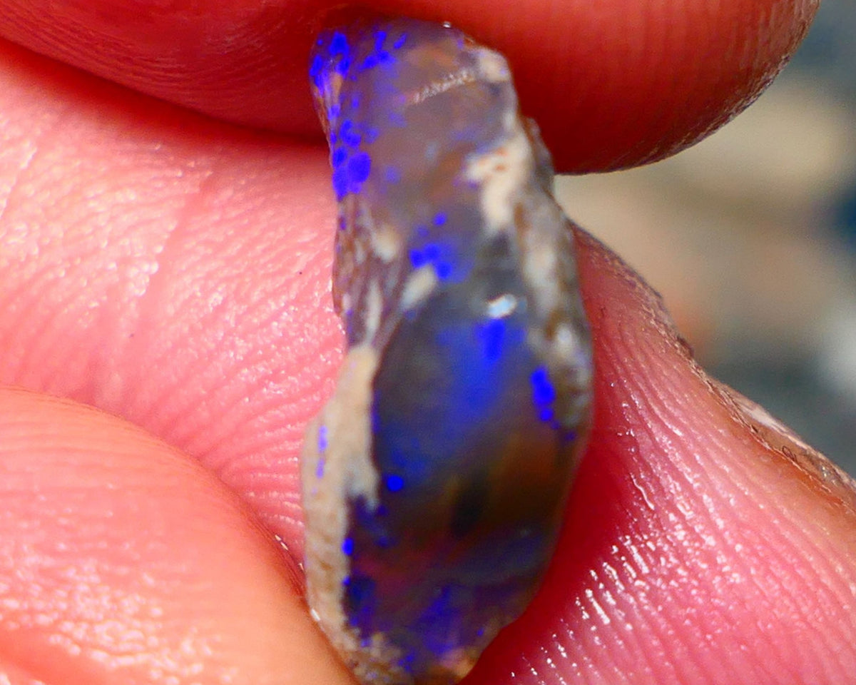 Lightning Ridge Rough Dark Crystal Knobby opal 5.40cts Gorgeous Bright Royal blues showing through out 17x11x6mm RL002