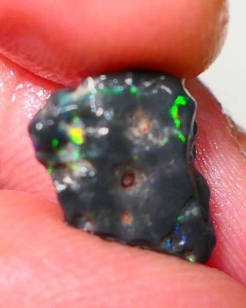 Lightning Ridge Rough Untouched Black Knobby opal 3.00cts Gorgeous Green Dominant M.Fires showing 15x10x4mm RL004