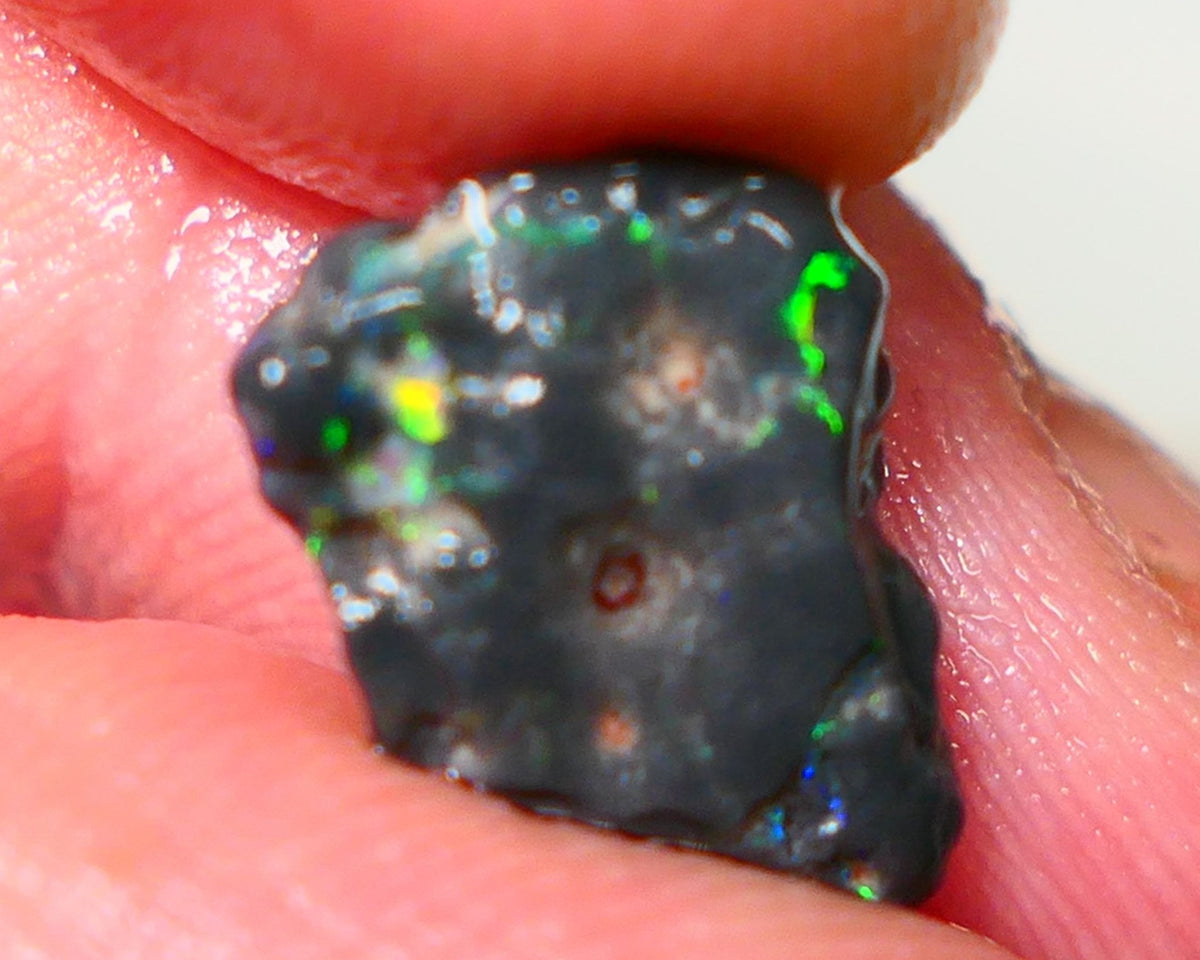 Lightning Ridge Rough Untouched Black Knobby opal 3.00cts Gorgeous Green Dominant M.Fires showing 15x10x4mm RL004