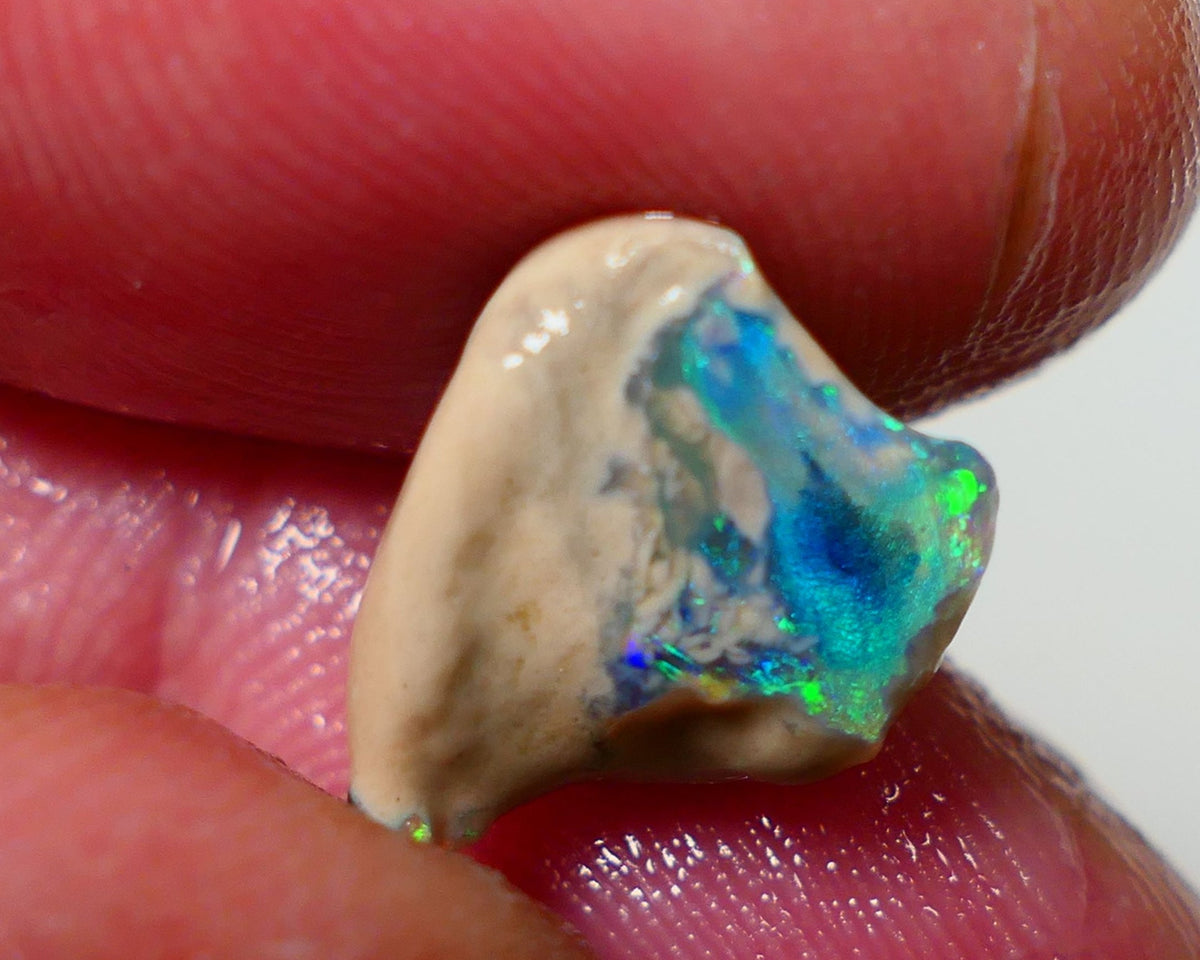 Lightning Ridge Rough / Rub knobby opal Miners Bench® 4.25cts Stunning Bright Fires to exposed face 13x11x7mm NS301