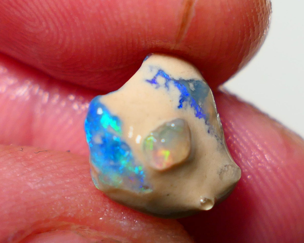 Lightning Ridge Rough / Rub knobby opal Miners Bench® 4.25cts Stunning Bright Fires to exposed face 13x11x7mm NS301