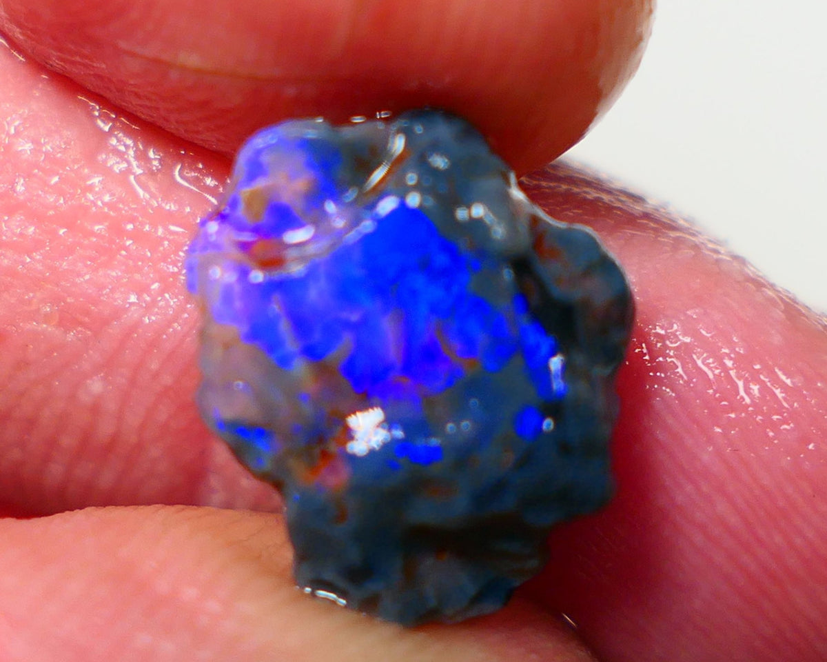 Lightning Ridge Rough Opal 3.50cts Black Crystal Base Knobby formation Gorgeous Royal Blues 14x9x6mm NS308