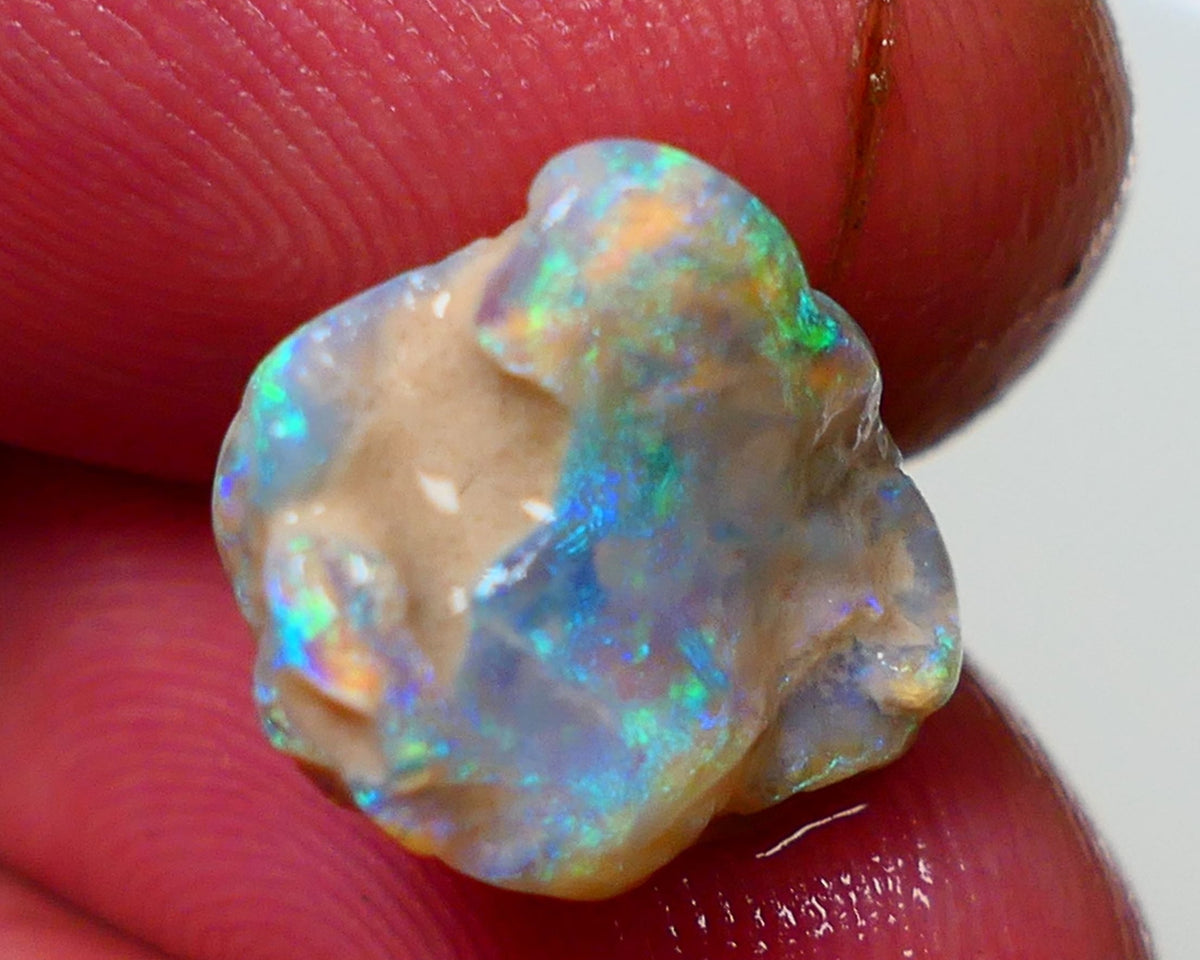 Lightning Ridge Rough Opal 6.00cts Crystal Base Gamble Knobby formation Gorgeous Green/Blues 13x12x7mm NS307