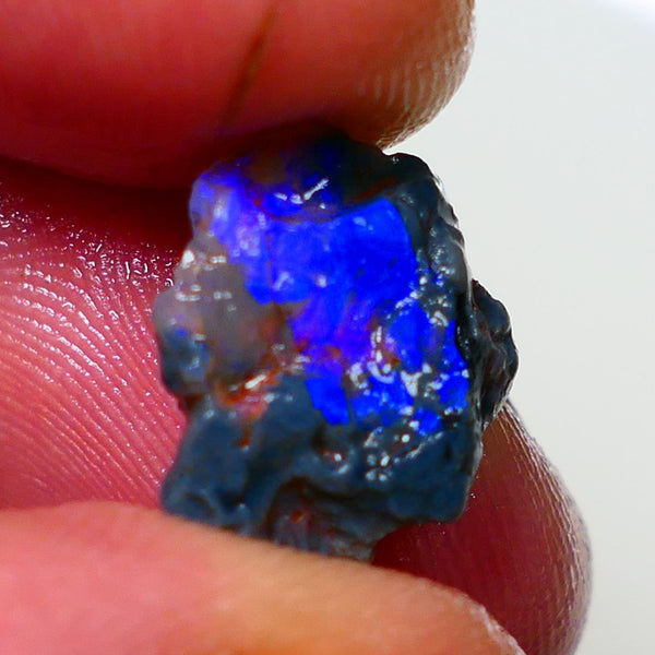 Lightning Ridge Rough Opal 3.50cts Black Crystal Base Knobby formation Gorgeous Royal Blues 14x9x6mm NS308