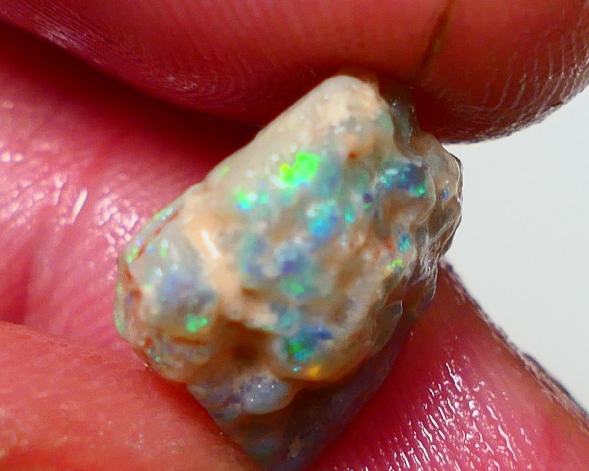 Lightning Ridge Rub / Rough Opal 6.00cts Dark Base Gamble Knobby Bits of Bright Multifires 12x12x6mm NS309