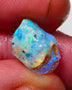 Lightning Ridge Rough Opal 4.25cts Crystal Base Opalised Fossil Gorgeous Bright Multifires 14x9x7mm NS310