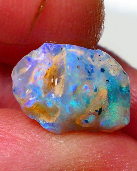 Lightning Ridge Rough Opal 4.25cts Crystal Base Opalised Fossil Gorgeous Bright Multifires 14x9x7mm NS310