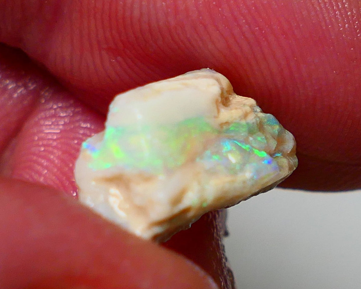 Lightning Ridge Rough Opal 7.15cts Light Base Seam showing  Bright multi colours 17x9x8mm NS311