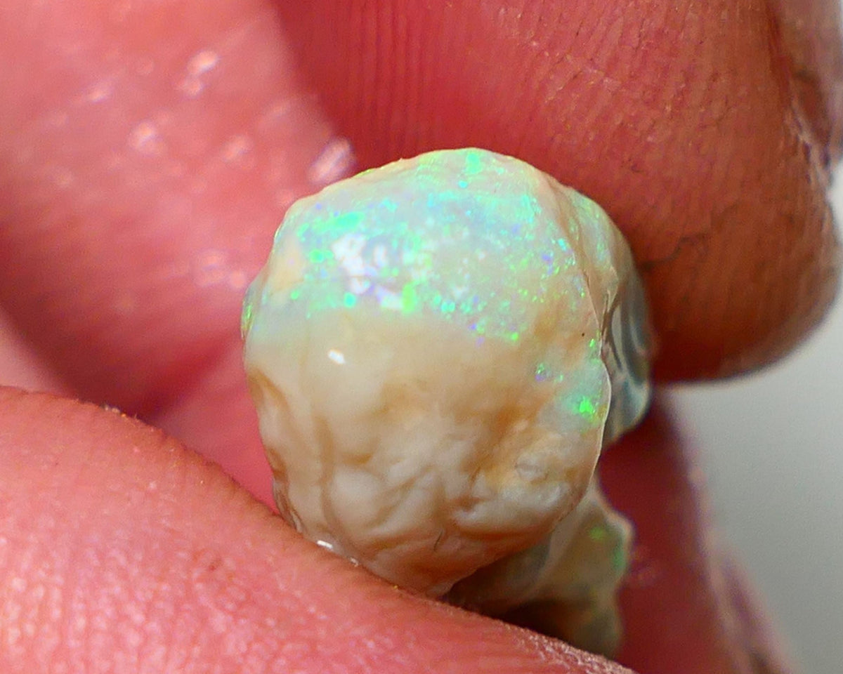 Lightning Ridge Rough Opal 7.30cts Crystal Knobby showing Gorgeous Multicolours 20x11x7mm NS324