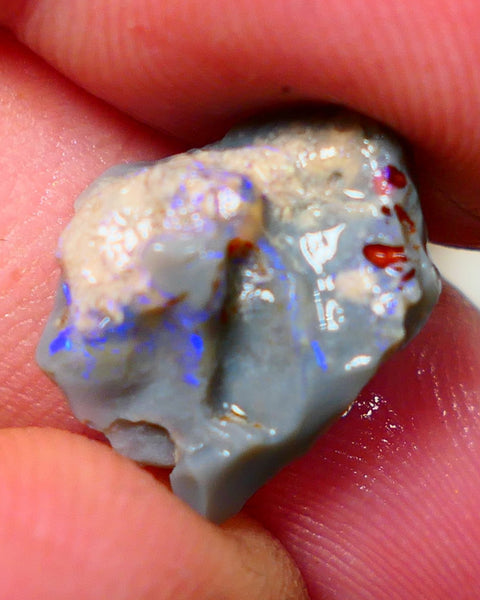 Lightning Ridge Rough Opal 5.25cts Dark Base Knobby Bright Blue Bar to gamble 16x13x7mm NS323