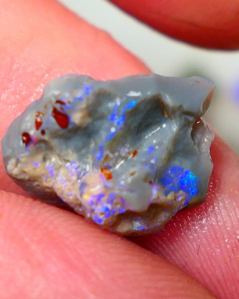 Lightning Ridge Rough Opal 5.25cts Dark Base Knobby Bright Blue Bar to gamble 16x13x7mm NS323