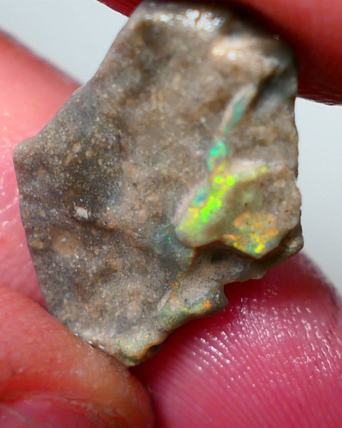 Lightning Ridge Rough Opal 8.25cts Dark Base Seam Gorgeous Zone of Bright Yellows to gamble 24x13x4mm NS317