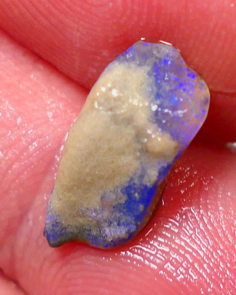 Lightning Ridge Rough Opal 2.35cts Dark Base Seam Bright Gorgeous Blue Bar to Cut 14x6x4mm NS316