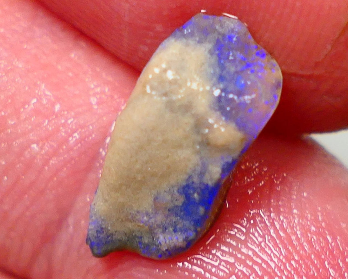 Lightning Ridge Rough Opal 2.35cts Dark Base Seam Bright Gorgeous Blue Bar to Cut 14x6x4mm NS316