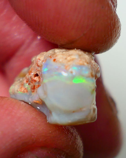 Lightning Ridge Rough Opal 10.00cts Grey base Seam showing Yellow/Green Dominant M.colours to gamble cut 20x11x10mm NS338