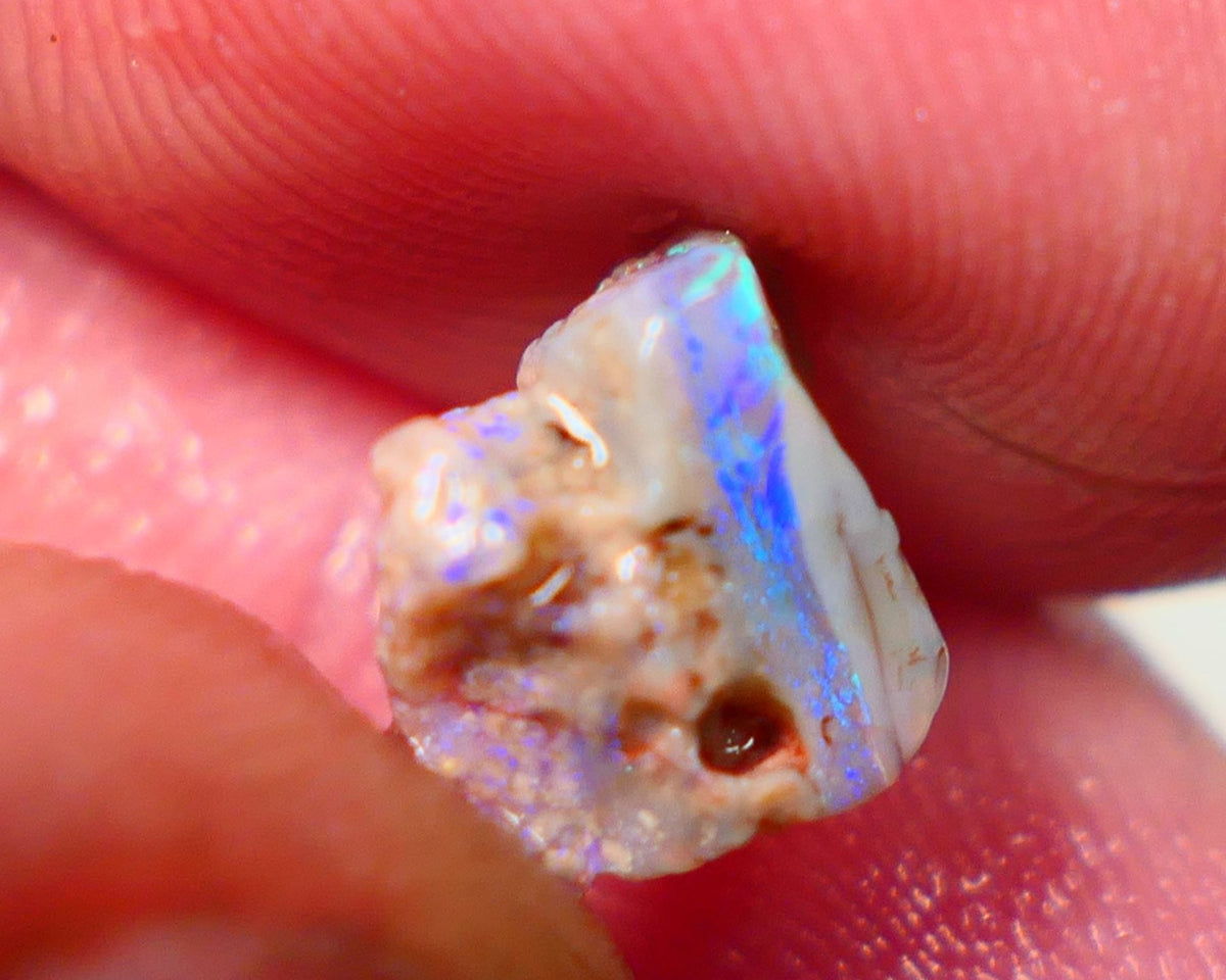 Lightning Ridge Rough Opal 1.75cts Dark Base Seam Bright Vibrant Gorgeous Green / Teal / Blue Bar 11x9x6mm NS336