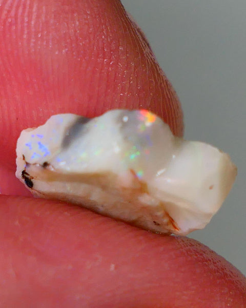 Lightning Ridge Rough Opal 6.25cts Light base Seam showing Orange Dominant M.colours 17x11x4mm NS329