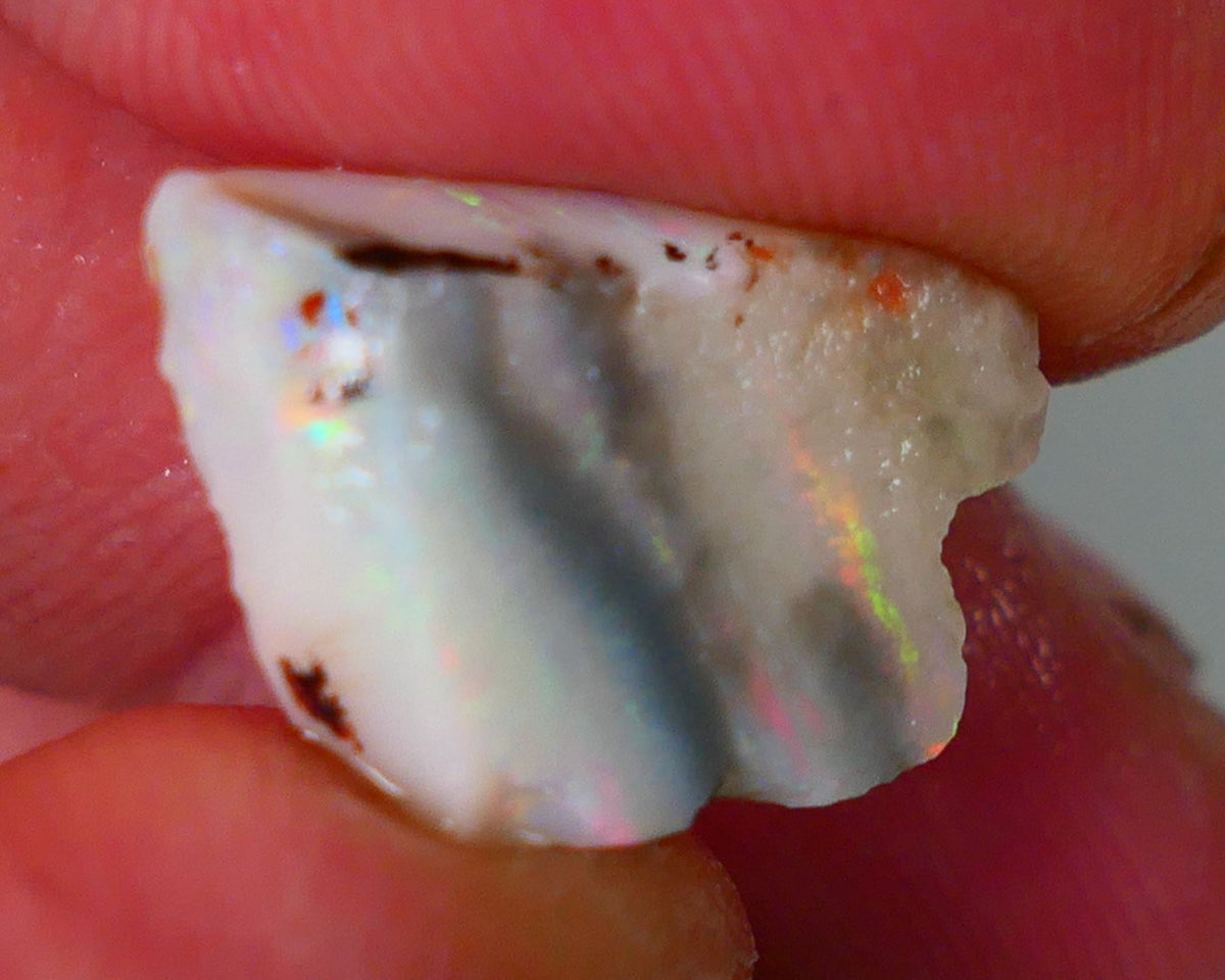 Lightning Ridge Rough Opal 6.25cts Light base Seam showing Orange Dominant M.colours 17x11x4mm NS329