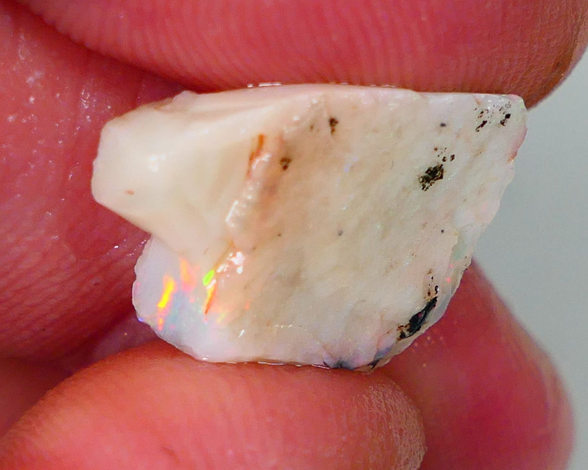 Lightning Ridge Rough Opal 6.25cts Light base Seam showing Orange Dominant M.colours 17x11x4mm NS329