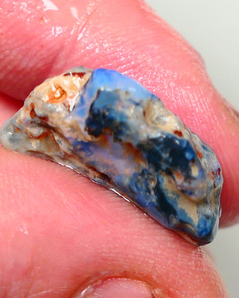 Lightning Ridge Rough Opal Gamble Auction  23x13x8mm 12cts