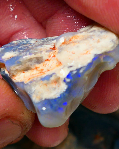 Lightning Ridge Rough Opal Gamble Auction6   35.00cts 29x23x11mm