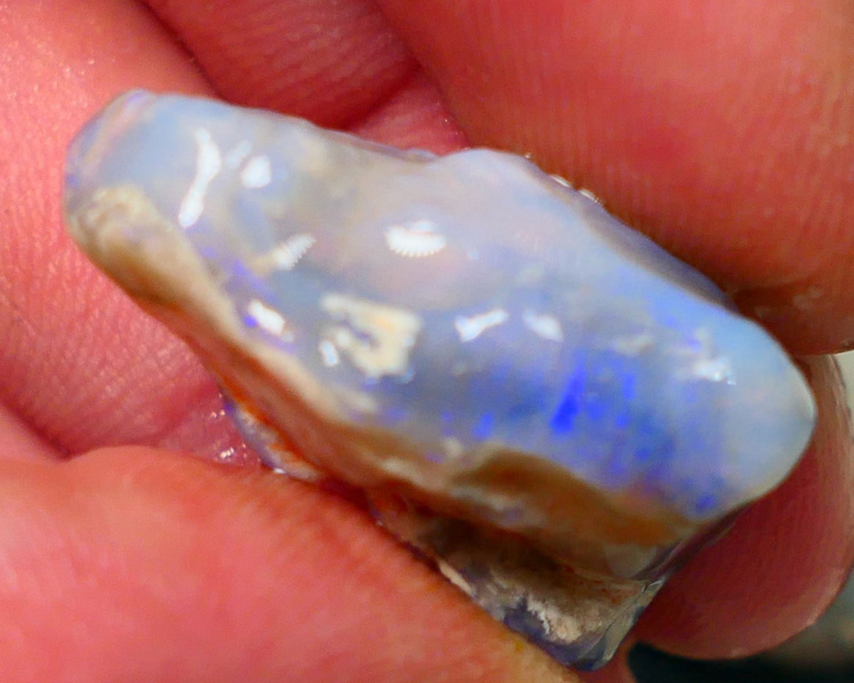 Lightning Ridge Rough Opal Gamble Auction6   35.00cts 29x23x11mm