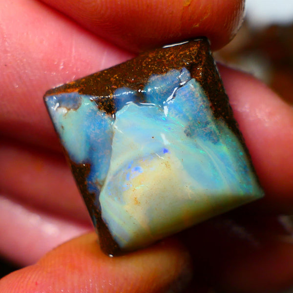 Queensland Boulder / Matrix opal 21cts rough/rub Winton Some Blue fires showing 19x19x7mm  ALP004