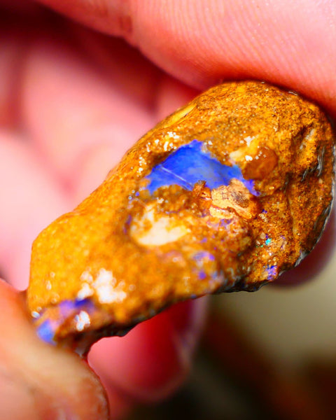 Queensland Sandy Ironstone Boulder opal nodule Showing lots of Bright Blue colours ALP0